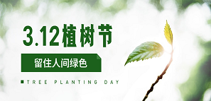 办公室环保，开启绿色新生活封面图