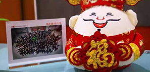 福禄寿喜报道，拓朴设计给您拜年啦！封面图