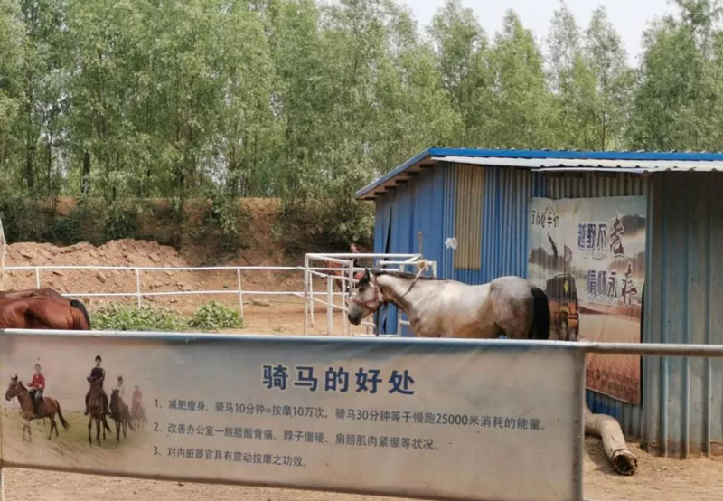 团建｜马不停蹄奔前方 拓朴精神美名扬!正文图片 1