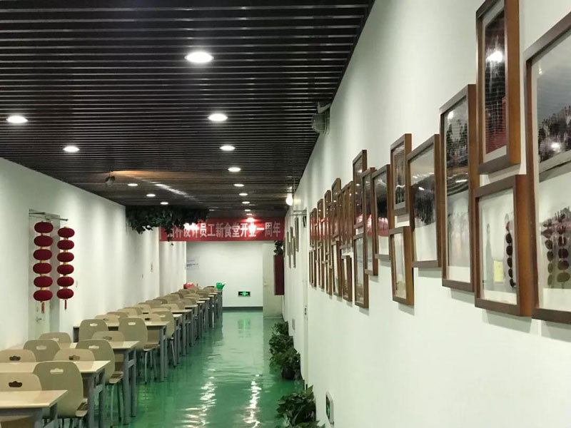 写在拓朴员工新食堂开业一周年正文图片 3