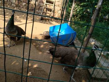 团建｜悠然夏日，寻找那一缕清晾正文图片 14