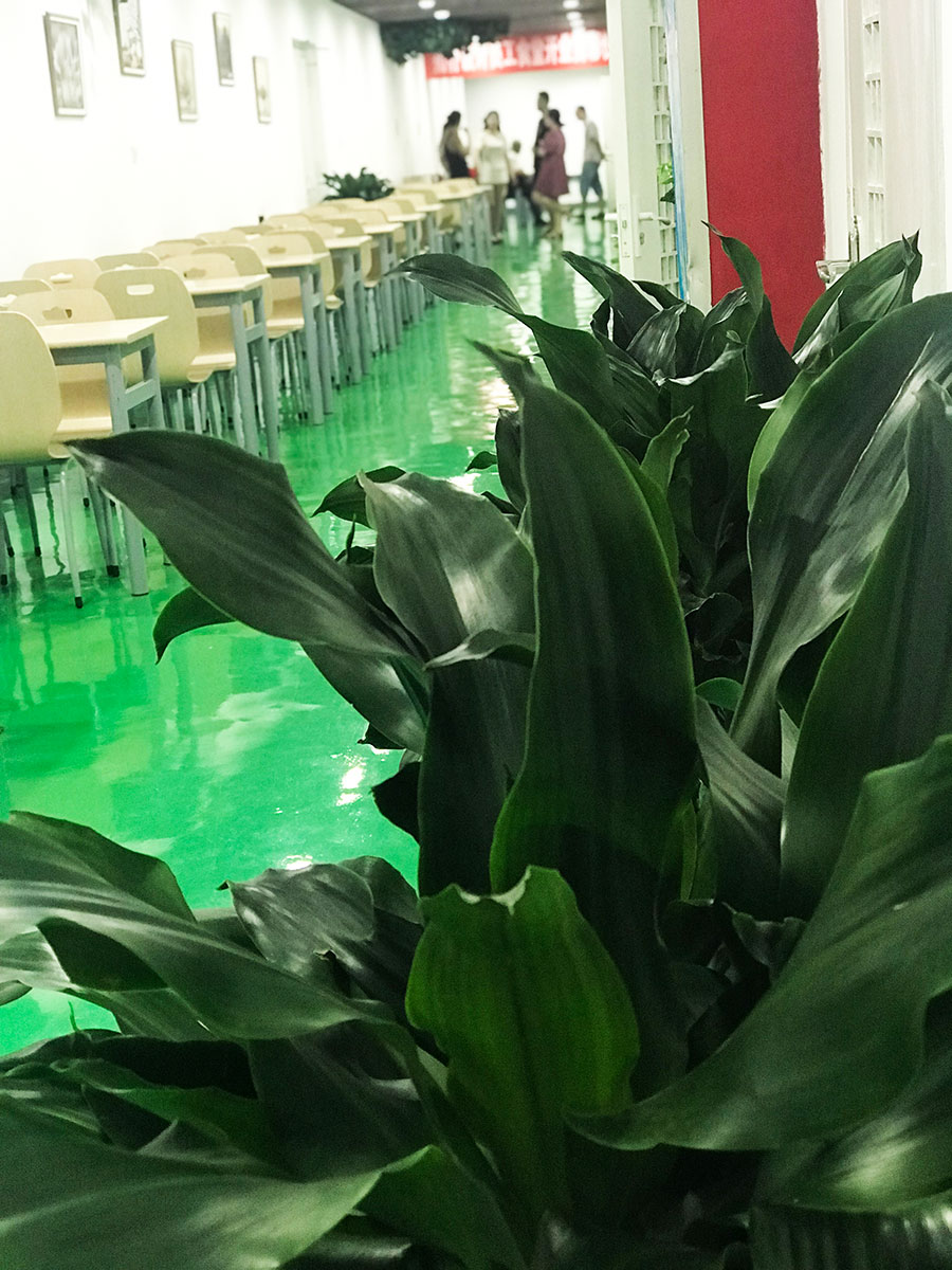 拓朴设计员工新食堂正式开业正文图片 5